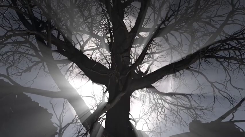 Hermann A Mes Cotes Me Paraissait Une Ombre-اتات لیبره د اورنج هرمن ای مس کتز می پارایسیت اون آمبر