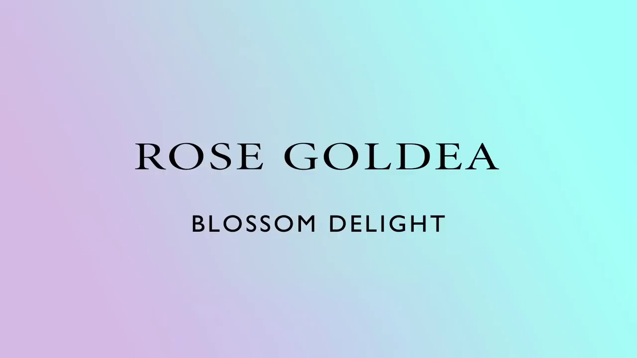 Rose Goldea Blossom Delight-بولگاری رز گلدیا بلوسوم دیلایت